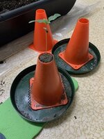 Traffic Cones copy Small.jpeg