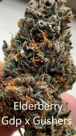 elderberry.png